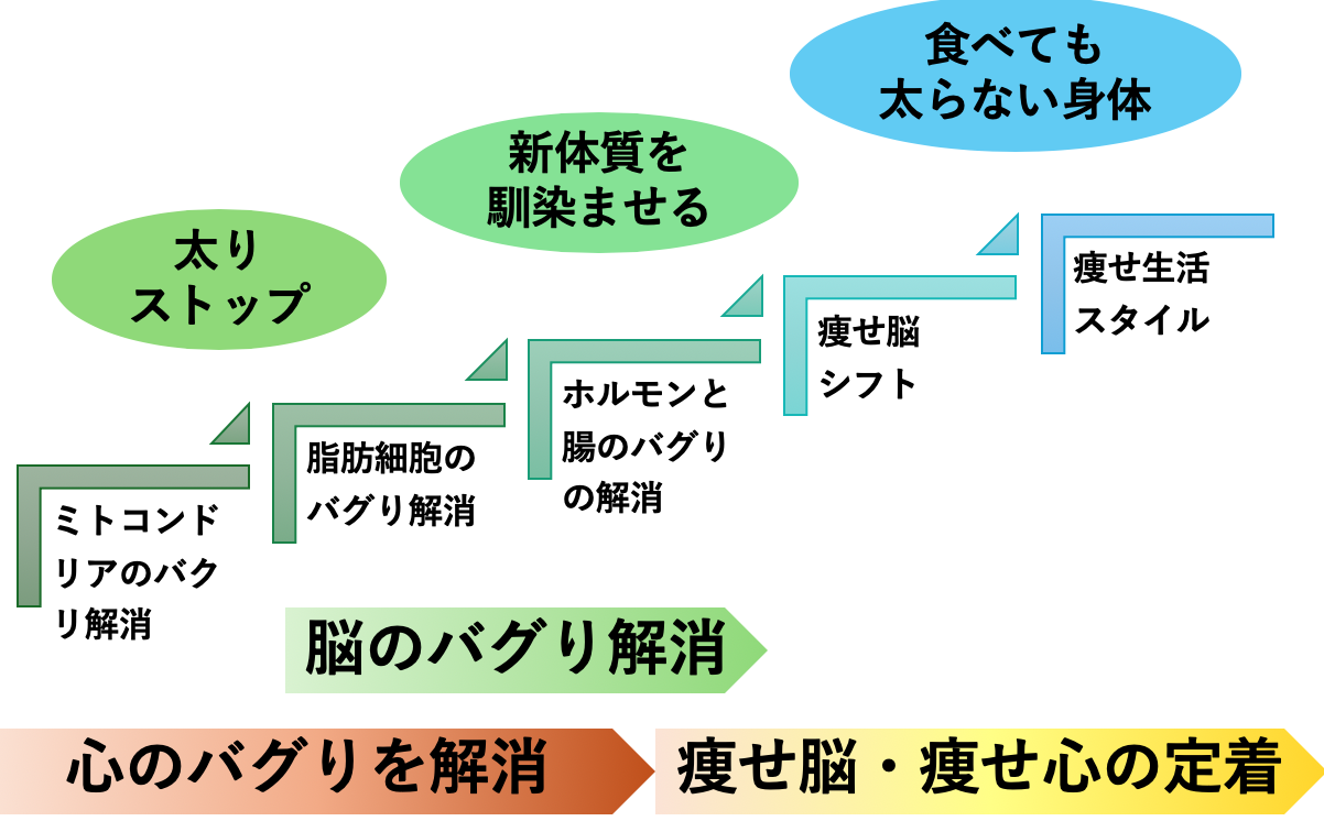 ゼロリバウンドダイエットの全体像